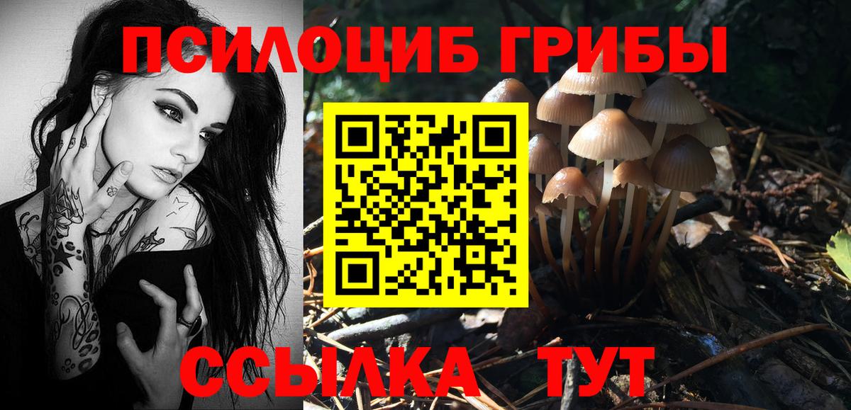 Галлюциногенные грибы мицелий  Вход с VPN  Нижнекамск 